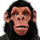 MrMonkey